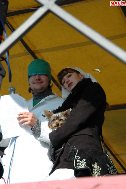 DSC_0113.JPG