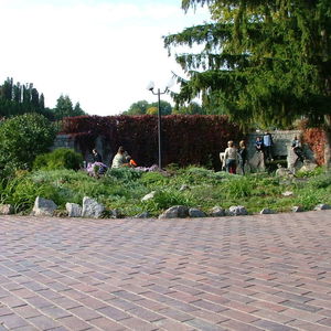 DSCF0479.JPG
