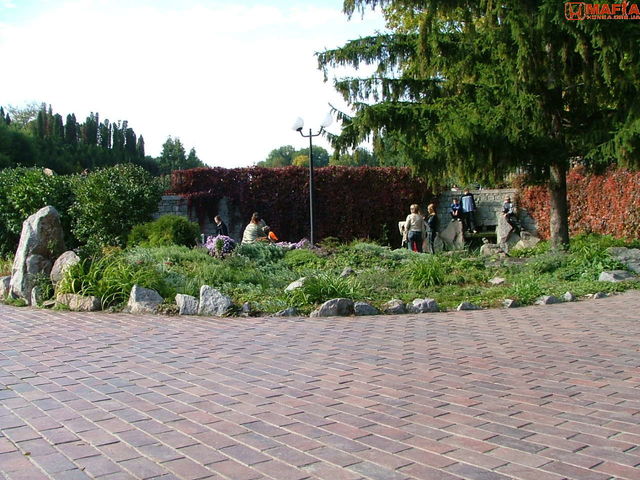 DSCF0479.JPG