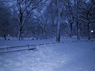 central_park_snow_16.jpg 