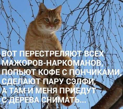 c79130bc032c666490a5b49b53b8c9cb.jpg 