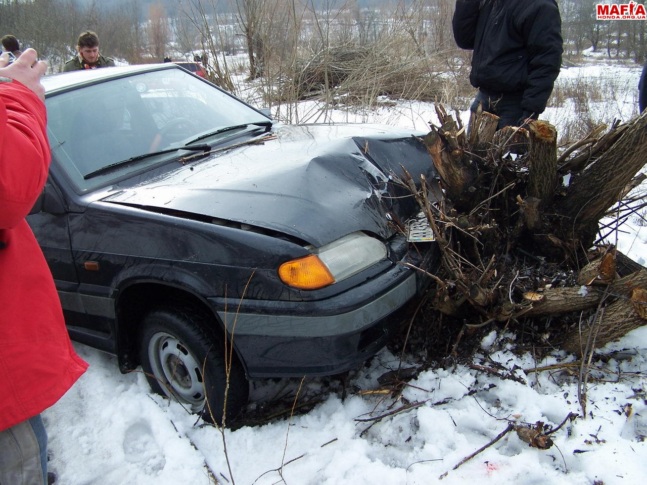 100_6459.JPG