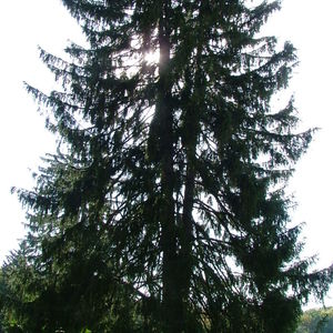 DSCF0444.JPG